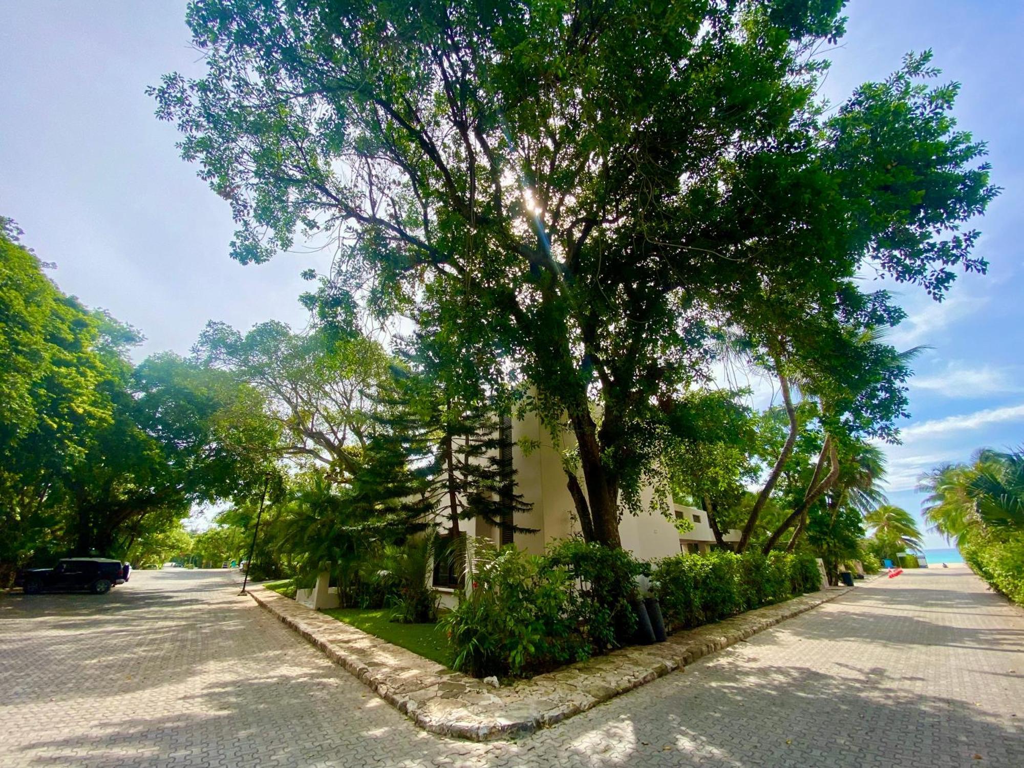 Villa Almendra Playacar 1 Playa del Carmen Luaran gambar